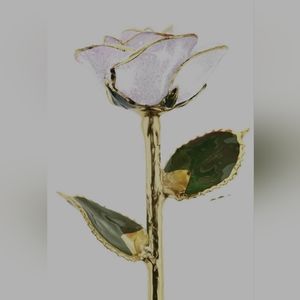 Steven Singer Real Rose Dipped in 24K Gold